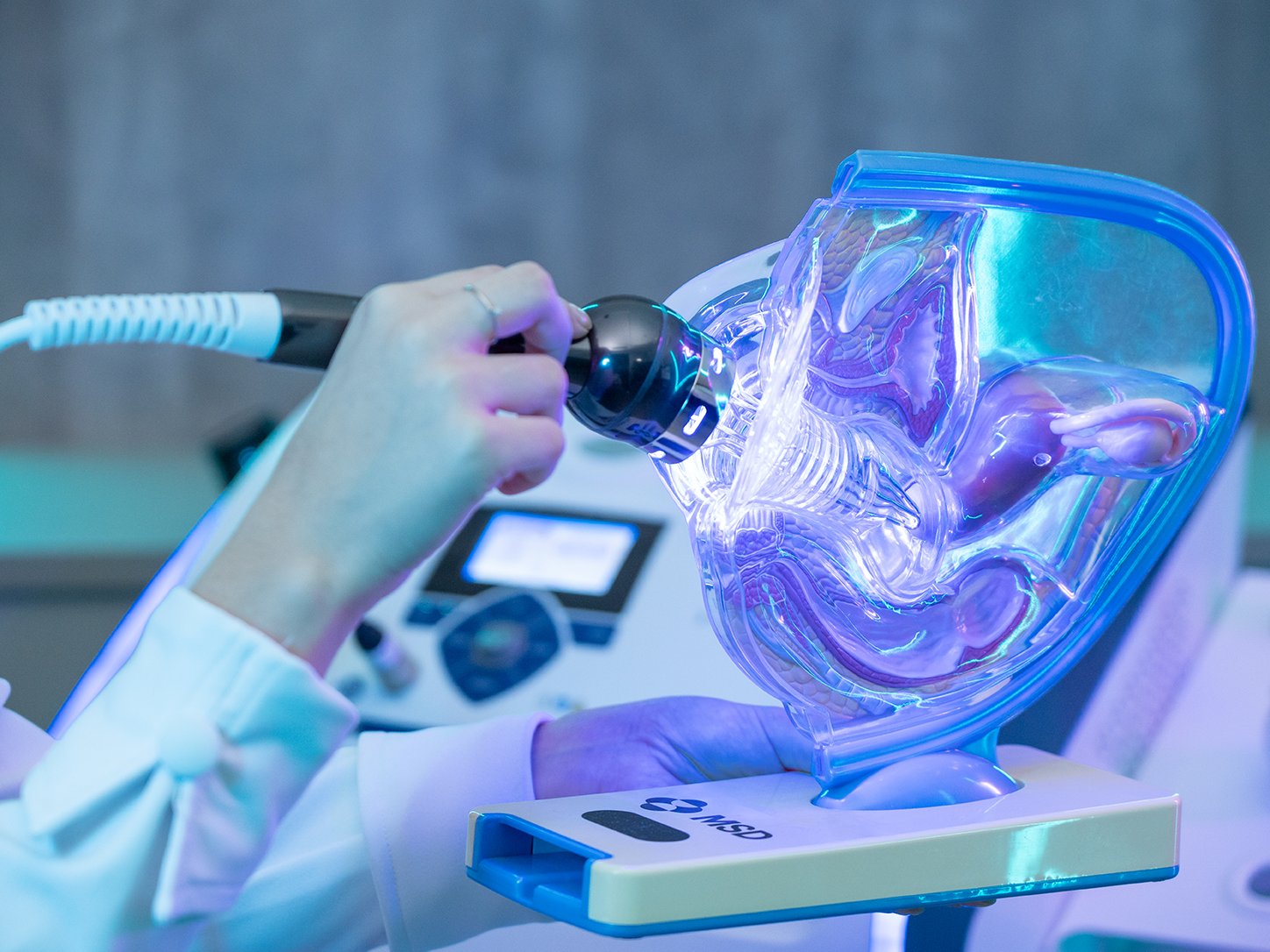 Profissional de ginecologia regenerativa demonstrando o uso do aplicador de energia em modelo anatômico pélvico transparente iluminado.